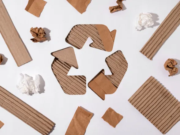 smartpac-Design-for-Recycling-img-1